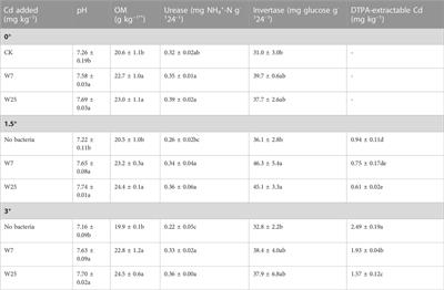 Poly-γ-glutamic acid-producing bacteria reduce wheat Cd uptake by promoting Cd transfer from macro-to micro-aggregates in Cd-contaminated soil